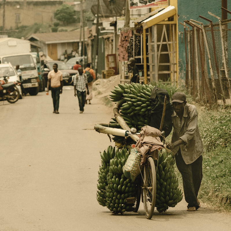 blog image African village