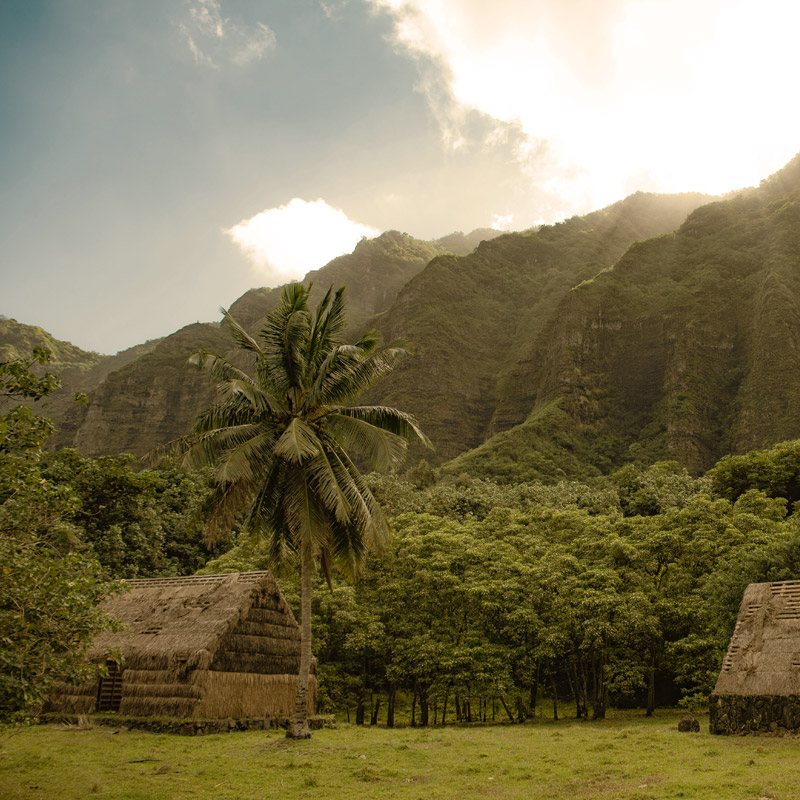 blog image tropical village